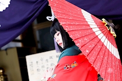 プロフィール写真7・寧々|Pasye・パーシェ - すすきのスナック