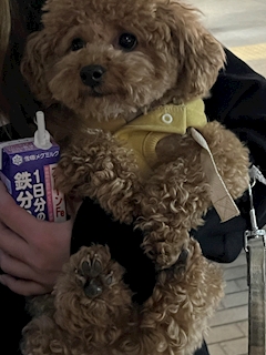 プロフィール写真4・こたろう|GirlsBar COLOR・カラー - 新橋のガールズバー