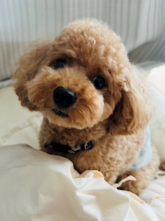 プロフィール写真1・こたろう|GirlsBar COLOR・カラー - 新橋のガールズバー