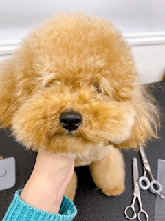 プロフィール写真3・こたろう|GirlsBar COLOR・カラー - 新橋のガールズバー