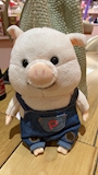 chiko