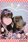 chiko