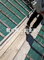 らん