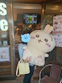 らん