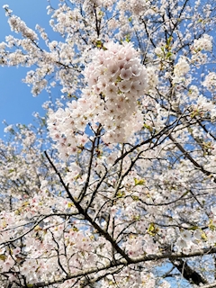 いくみママ💄NEO SNACK 19💄