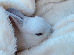 プロフィール写真2・おかゆ｜6GRAMS・シックスグラム - 武蔵小山のガールズバー