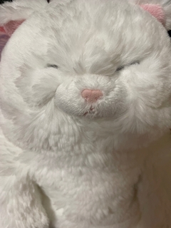 ☨꒰ঌらん໒꒱☨