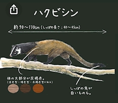 さや🦌⸝