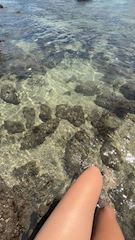 新着ブログ 🏖️