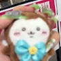 chiko