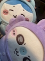 新着ブログ 🧸