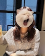 ゆい