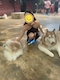 プロフィール写真1・りお|極匠・ゴクジョウ - 早良区・西新の熟女キャバクラ