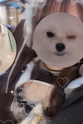 えな