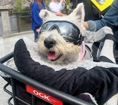 あい【上野epic】