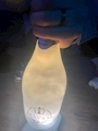 Noche