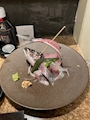 chiko