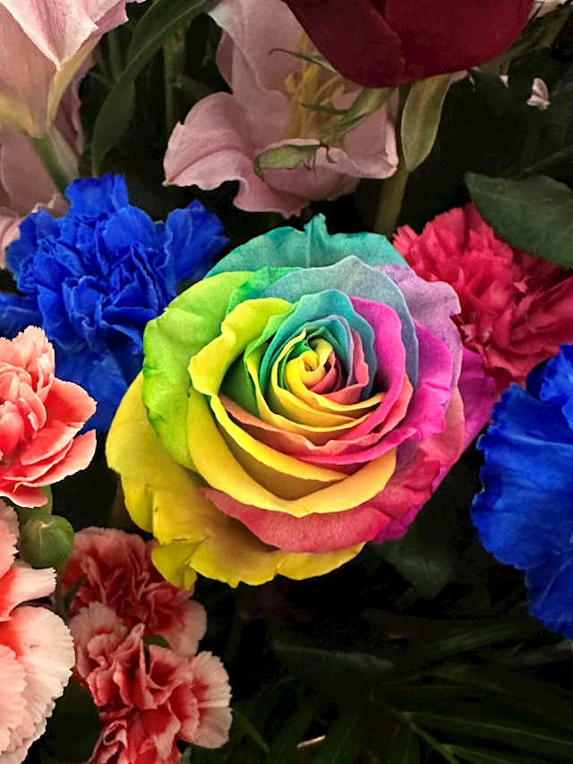 🌹体入ちゃん🌹