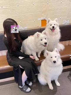 プロフィール写真4・せいか🦋baby tokyo|baby tokyo・ベイビートウキョウ - 上野のパブ/スナック