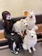プロフィール写真4・せいか🦋baby tokyo|baby tokyo・ベイビートウキョウ - 上野のパブ/スナック