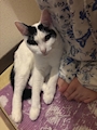 新着ブログ おとも