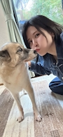 新着ブログ しゅ