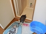 新着ブログ 産卵