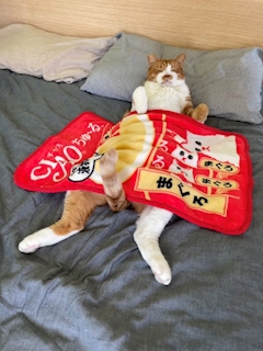 ナエ