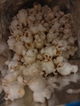 新着ブログ 🍿🍿🍿