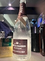 新着ブログ 🤍