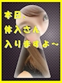 体入さん