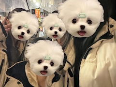りりか「しゅっきーん💕」