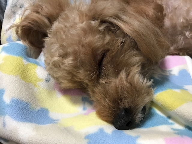 プロフィール写真1・かすみマネージャー｜