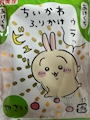 新着ブログ 🐇🍚