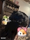 プロフィール写真2・かすみ｜楓・カエデ - 国分町のスナック