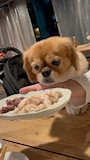 chiko