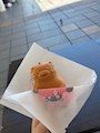 新着ブログ 久しぶりの熊本！🐻❤