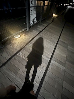 プロフィール写真2・セナ|New Club Naitai・ナイタイ - 石巻のキャバクラ