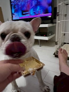 なる「🐶」
