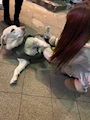 chiko
