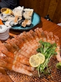 新着ブログ 🦐。