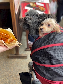 プロフィール写真4・🐕 まな🐕|mrs.J 半田・ミセスジェイ ハンダ - 半田の熟女パブ/熟女キャバクラ