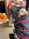 プロフィール写真4・🐕 まな🐕|mrs.J 半田・ミセスジェイ ハンダ - 半田の熟女パブ/熟女キャバクラ