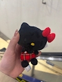 新着ブログ 色違い