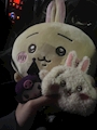 chiko