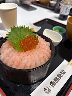 ゆき「福岡ﾀﾞ」