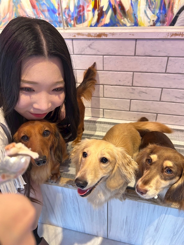 プロフィール写真3・せいか🦖レリアン｜