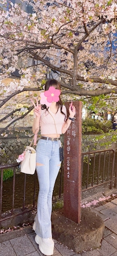 バニーガール(きらら)「京都の桜🌸」