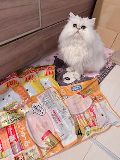 バニーガール(きらら)「🩵💖セルフネイル💅💖🩵」