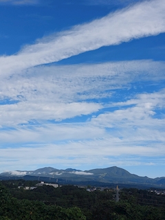 千夏